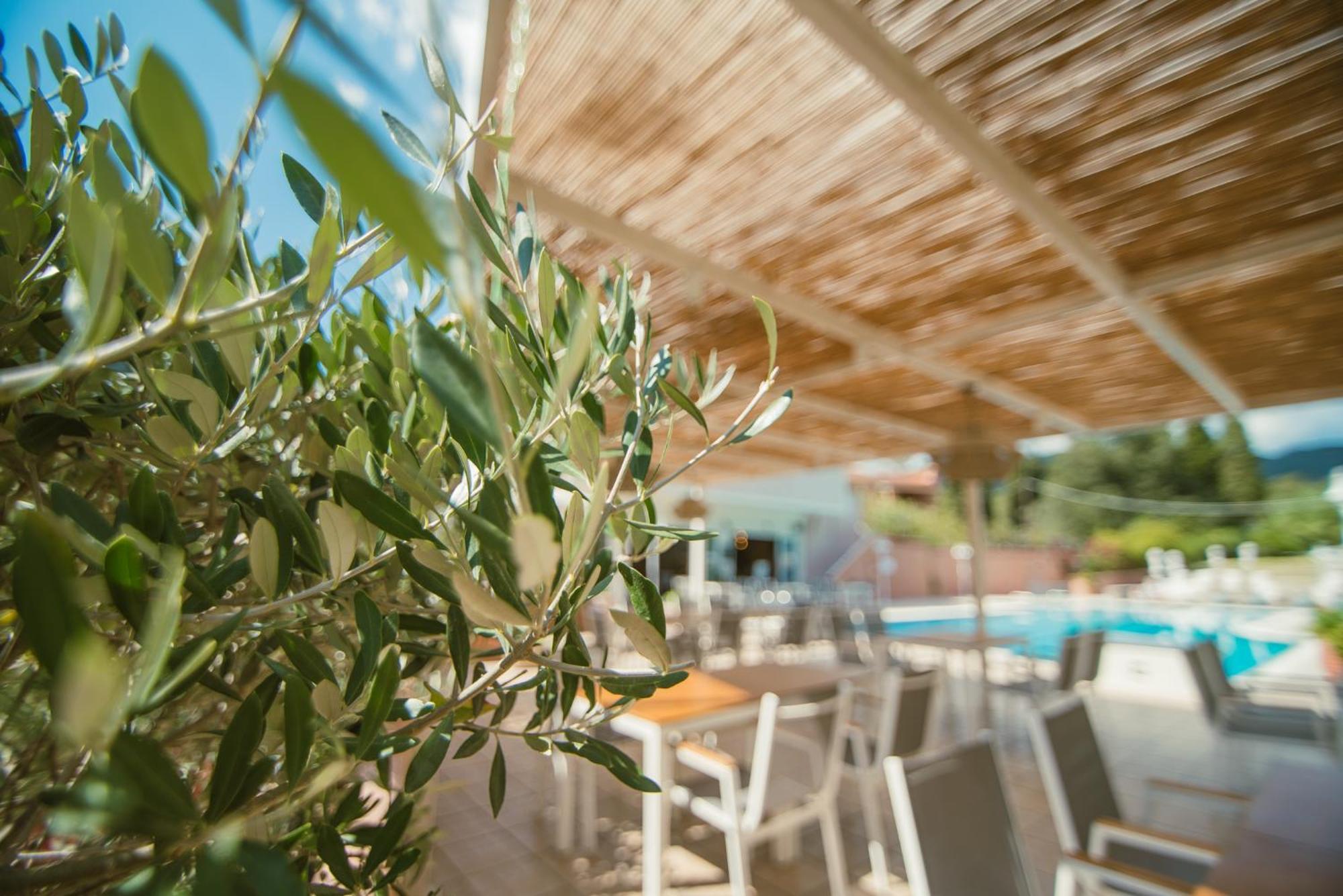 Dominoes Corfu Aparthotel Ypsos Exteriör bild